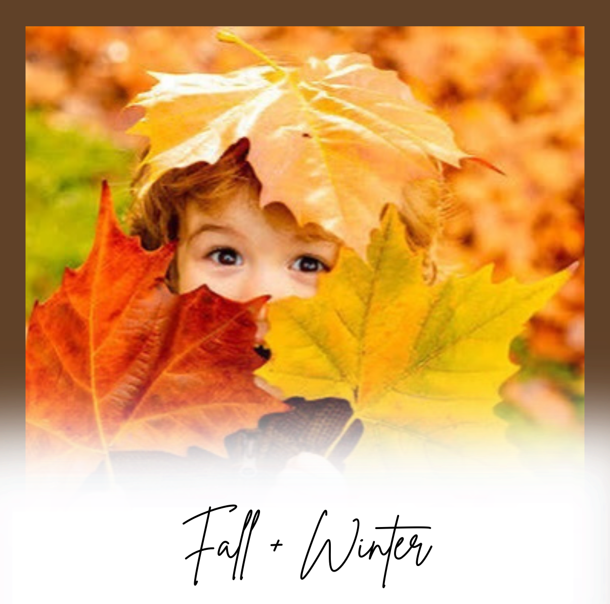 Fall + Winter